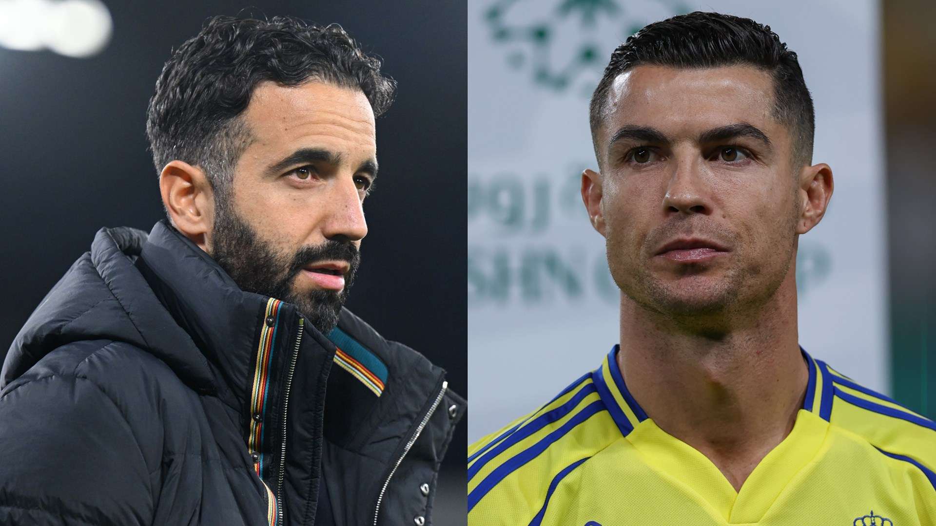 球迷的关注 球迷的关注