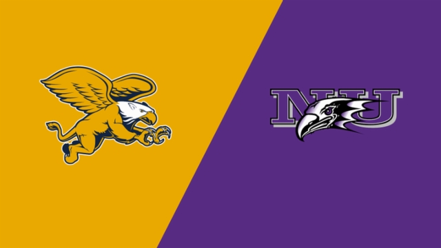 体验的基石 体验的基石