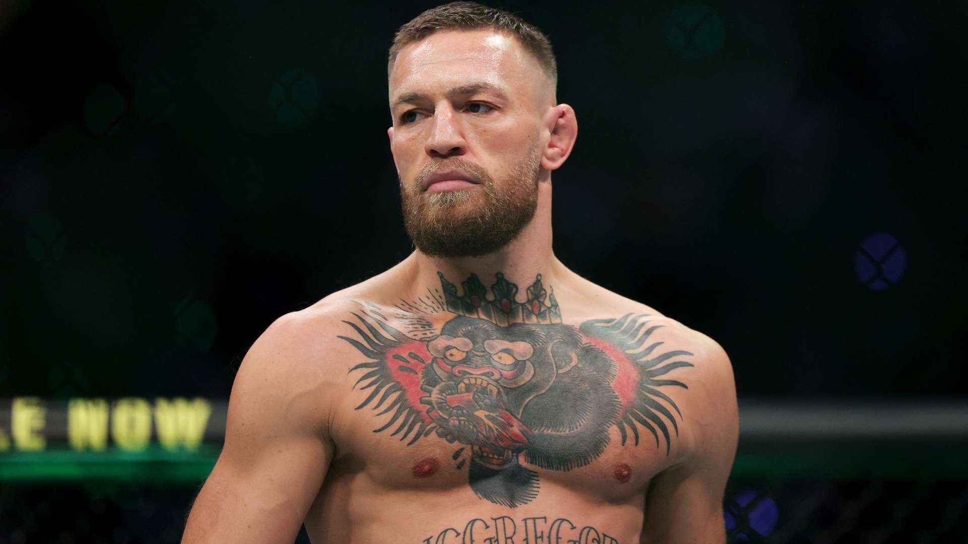 意大利的中 意大利的中